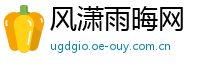 风潇雨晦网